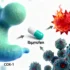 Common Pain Reliever Shows Potential Anti-Cancer Benefits in Recent Studies