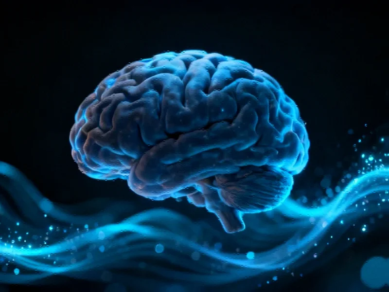 Disconnecting part of the brain sends it into a deep sleep - Professional coverage
