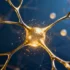 UNC13A Gene Discovery Reveals New Insights into Neurodevelopmental Disorders and Synaptic Communication