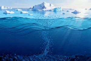 Southern Ocean's Carbon Sink Resilience Defies Climate Models, Reveals Hidden Water Layer Dynamics - Professional coverage