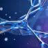 AI Models Achieve Over 98% Accuracy in Predicting Mental Health Conditions Using Psychometric Data