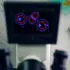 OpenAI CFO’s federal loan guarantee gaffe sparks backlash